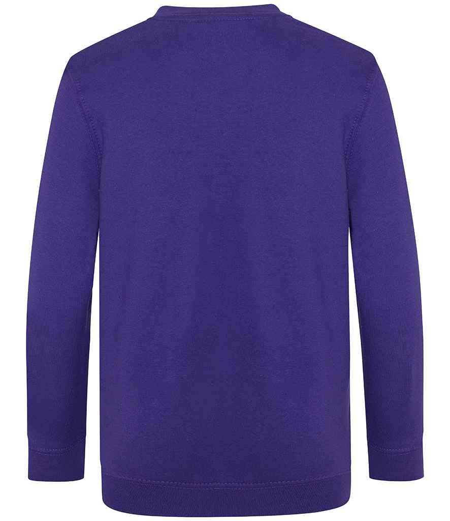 AWDis Academy Kids V Neck Sweatshirt | Purple