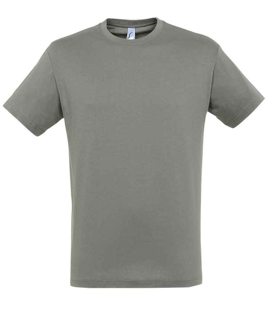 SOL'S Regent T-Shirt | Zinc