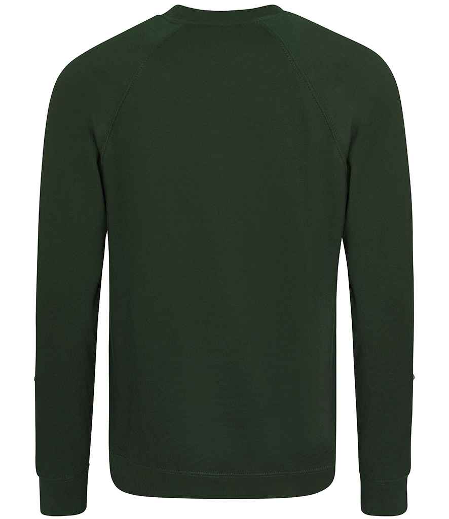 AWDis Academy Senior Raglan Sweatshirt | Green