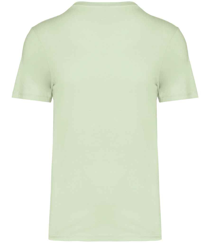 NS300 Celadon Green Back