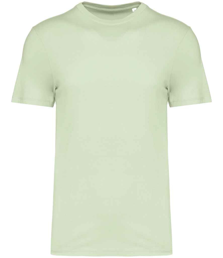 NS300 Celadon Green Front