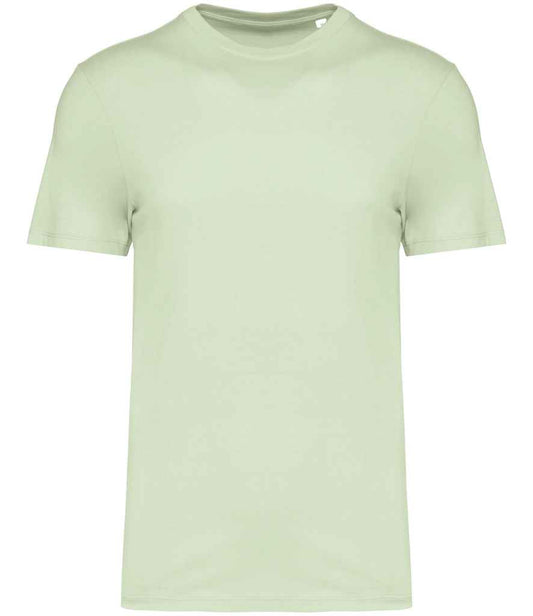 NS300 Celadon Green Front