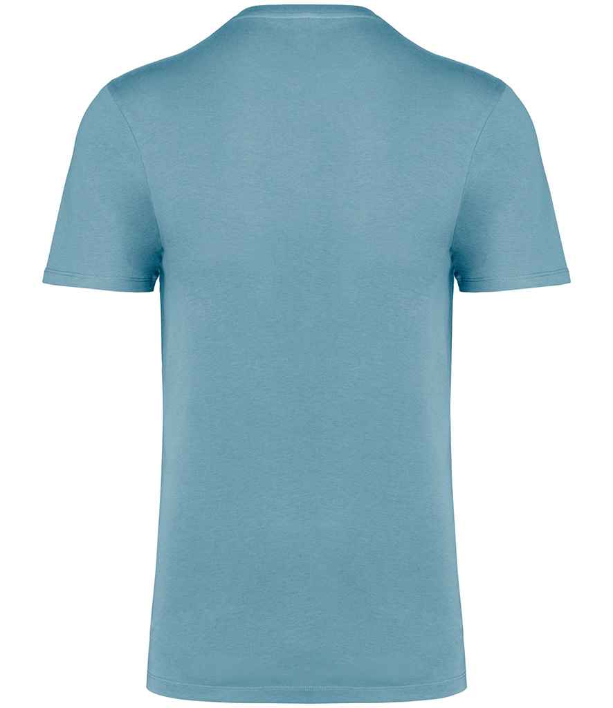 NS314IC Arctic Blue Back