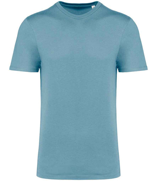 NS314IC Arctic Blue Front