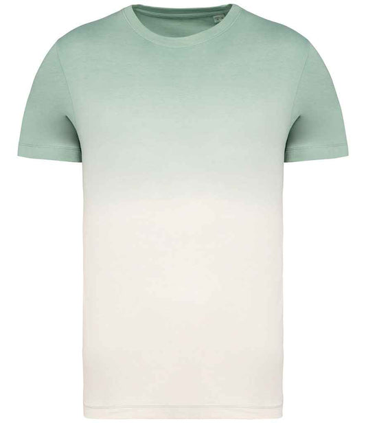NS345 Dip Dye Jade Green Front