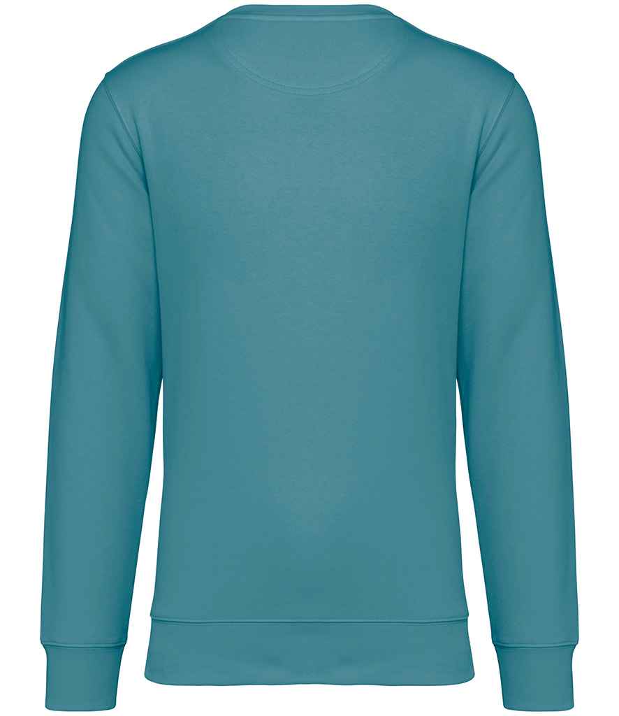 NS400 Adriatic Blue Back