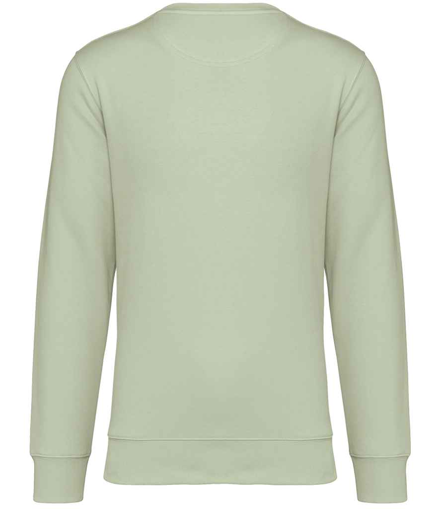 NS400 Celadon Green Back