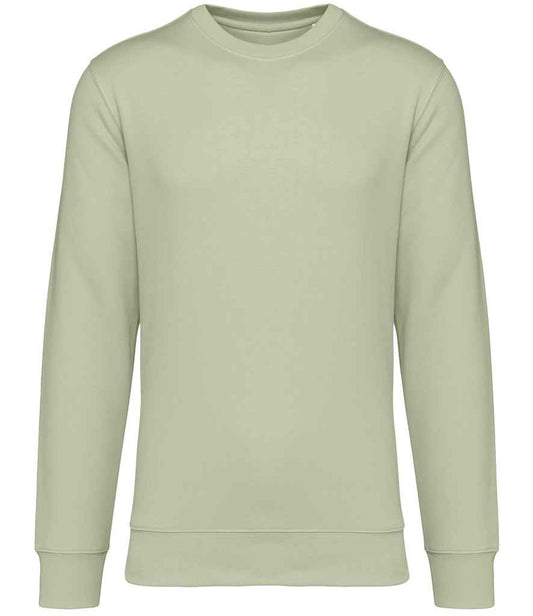 NS400 Celadon Green Front