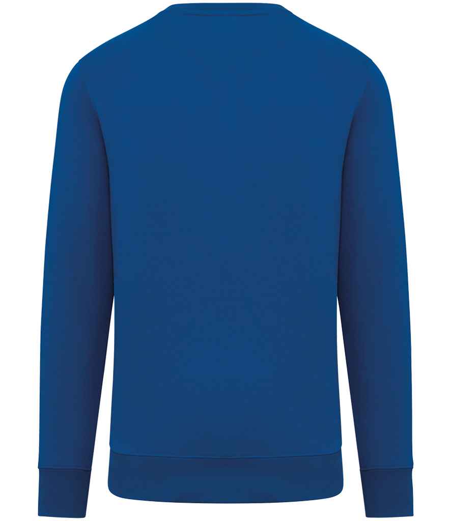 NS400 Sea Blue Back