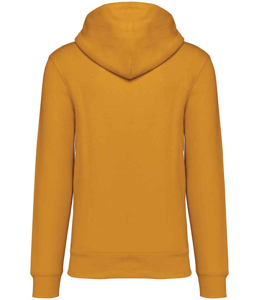 NS401 Curcuma Back
