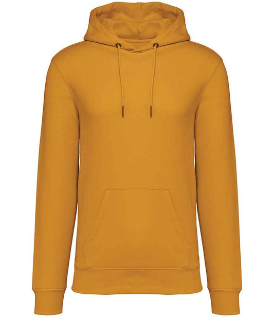 NS401 Curcuma Front