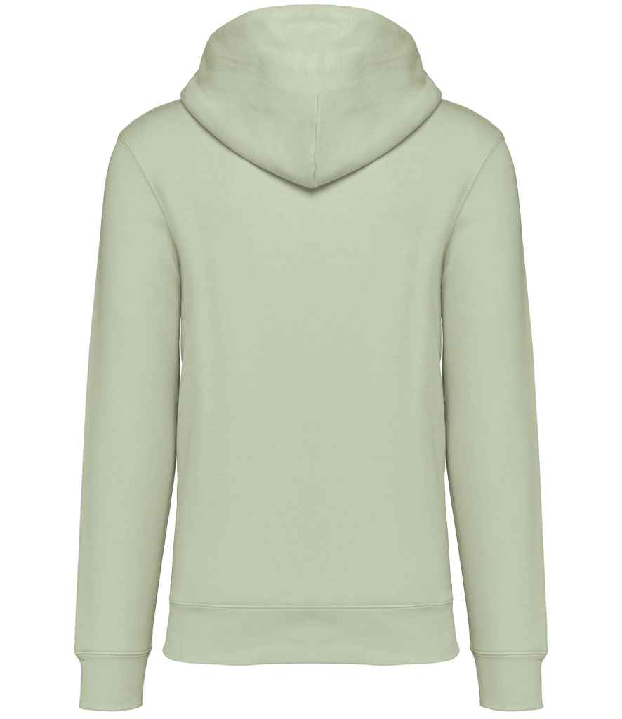 NS401 Celadon Green Back