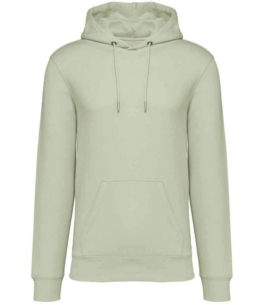 NS401 Celadon Green Front