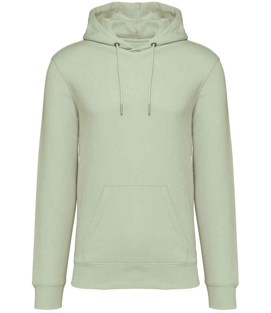 NS401 Celadon Green Front